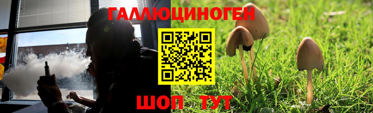 Галлюциногенные грибы Psilocybe  Вход с VPN  Тосно  Галлюциногенные грибы прущие грибы 